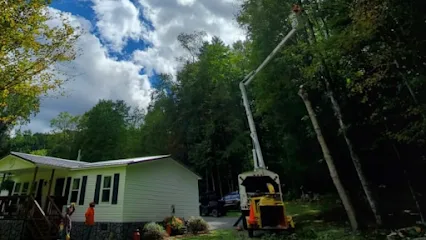 Knights Lawn And Tree Service LLC